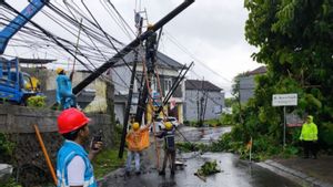 PLN Investigates Total Power Outages Throughout Bali