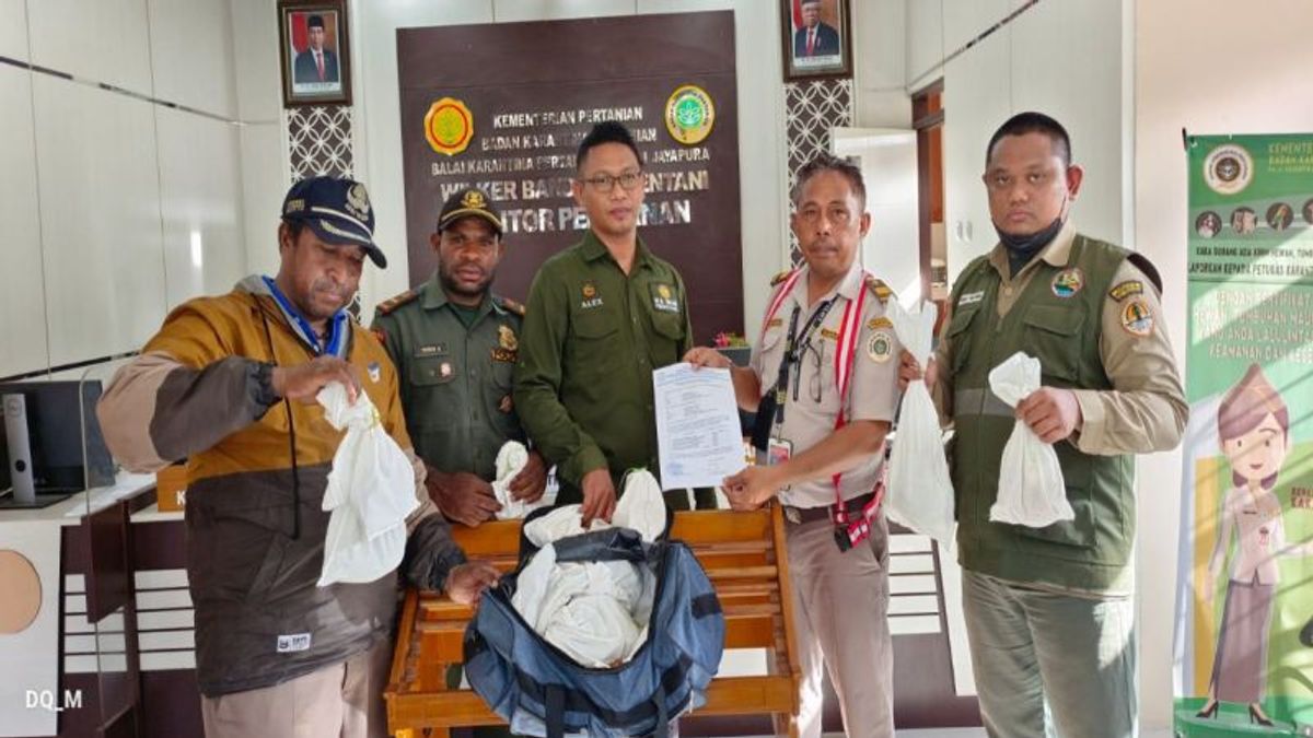 Karantina Jayapura Gagalkan Penyelundupan 71 Satwa Endemik Papua