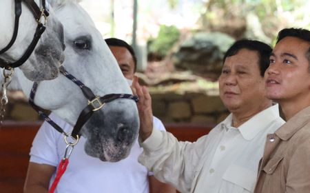 Kata Gerindra, Tak Ada yang Spesial dari Kunjungan Gibran ke Hambalang Bertemu Prabowo