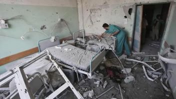 الرئيس عباس يناقش الظروف القاسية للفلسطينيين بسبب الإبادة الجماعية الإسرائيلية مع البابا ليو الرابع عشر