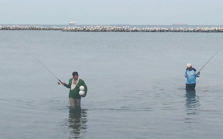 Viral Ribuan Ikan Berlompatan Menepi di Pulau Bidadari, KPKP Ambil Sampel Ikan dan Air Laut