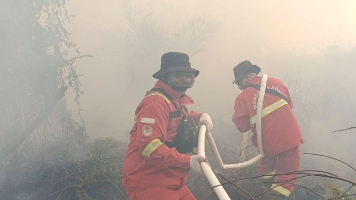 Kemenhut Berjibaku Padamkan Karhutla di Habitat Harimau Sumatera