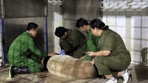 Indonesia Lakukan Prosedur Inseminasi Panda Raksasa Pertama Kali