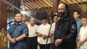 PKS Tak Masalah Surya Paloh Bertemu Prabowo: Bermanfaat Apalagi Hasilnya Adem
