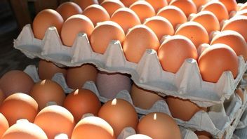 Berapa Lama Telur Bertahan di Kulkas? Temukan Jawabannya di Sini 