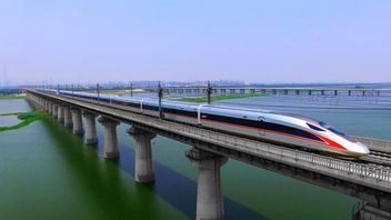 雅加达-万隆高速列车，KAI老板：印尼-中国沟通不畅，斯里穆利亚尼，卢胡特，埃里克·托希尔，布迪·卡里亚必须介入