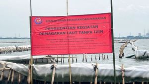 PSDKP KKP Awasi Pembongkaran Pagar Laut di Bekasi Terkait Pelanggaran Reklamasi Tanpa Izin