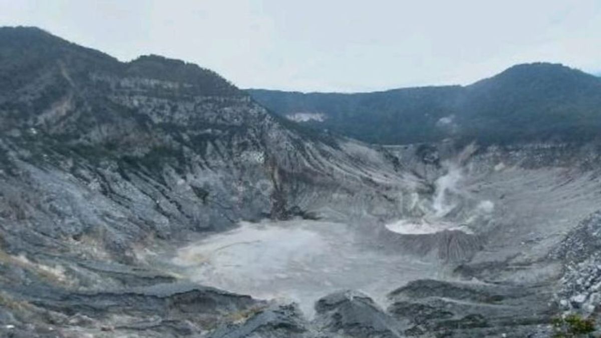 帕拉胡阿拉米群岛增加地震活动多达134次