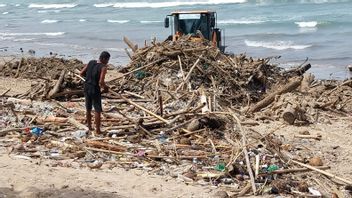 Sampah Didominasi Batang Kayu Mulai Kotori Pantai Bali