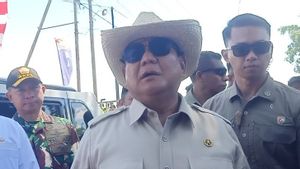 Corn Harvest In Bengkayang, Prabowo Puji Polri Involved In Food Security