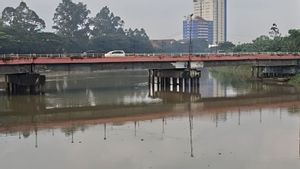 Pascapencemaran, Sungai Cisadane Dipastikan Pulih dan Aman Digunakan Warga