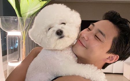 Park Seo Joon Ulang Tahun, Simak Pencapaiannya di Industri Hiburan Korea Selatan