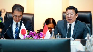 MBGのニーズに投資する日本の木材バパナスのボス
