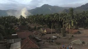 Erupsi Gunung Semeru, Status Tanggap Darurat Ditetapkan Hingga 3 Januari 2022