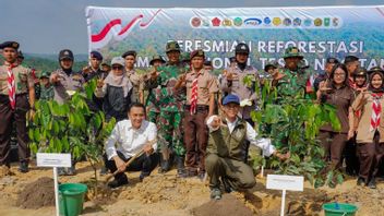 Kemenhut Mulai Restorasi TN Tesso Nilo Targetkan Pemulihan 66 Ribu Hektare