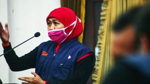 Viral Pria Berjenggot Tendang Sesajen di Lereng Semeru, Gubernur Khofifah Tekankan Tabayyun 