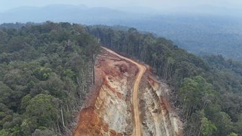 LSM LPP-Tipikor Gelar Aksi, Tuntut Penutupan Tambang Ilegal di Halmahera Timur