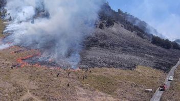 Karhutla,TNBTS大厅Cover Bromo Landing Area