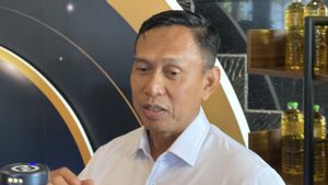 Bulog Proyeksikan Serap 1 Juta Ton Beras saat Panen Akhir Tahun
