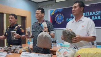 A Month Of Operation, West Papua National Narcotics Agency Arrested 5 Jayapura-Sorong Network Narcotics Dealers