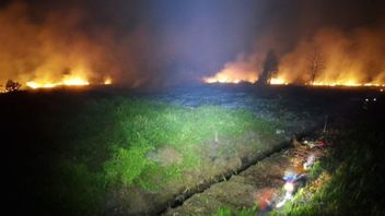 Hotspots Increase, BMKG Urges East Kalimantan People To Beware Of Forest And Land Fires