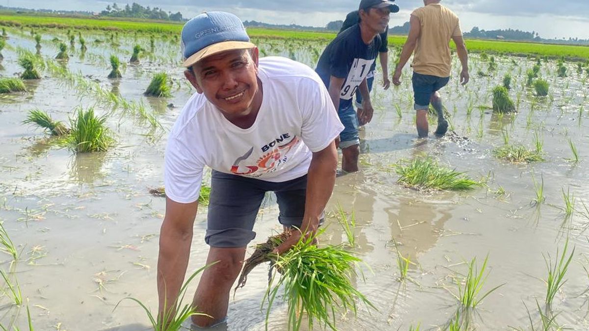 Pangkas 145 Regulasi, Penyaluran Pupuk Subsidi Langsung ke Petani Dinilai Percepat Kesejahteraan