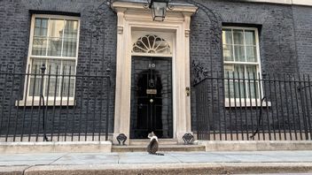 Tak Jadi Bertemu Kuartet Kucing Burma, Larry Menanti 'Majikan Baru' saat Rishi Sunak dan Liz Truss Bersaing untuk Downing Street 10