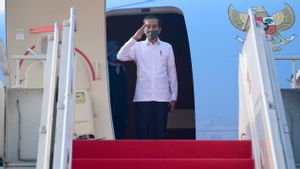 Presiden Jokowi Ternyata Tak Masalah Shin Tae-yong Gelar TC di Korea