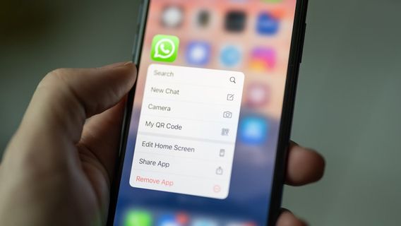 WhatsApp lance une prise en charge pour les photos en direct pour les utilisateurs iOS