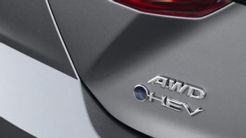 丰田在混合动力和电动汽车上用蓝环取代蓝光特殊标志?这就是原因
