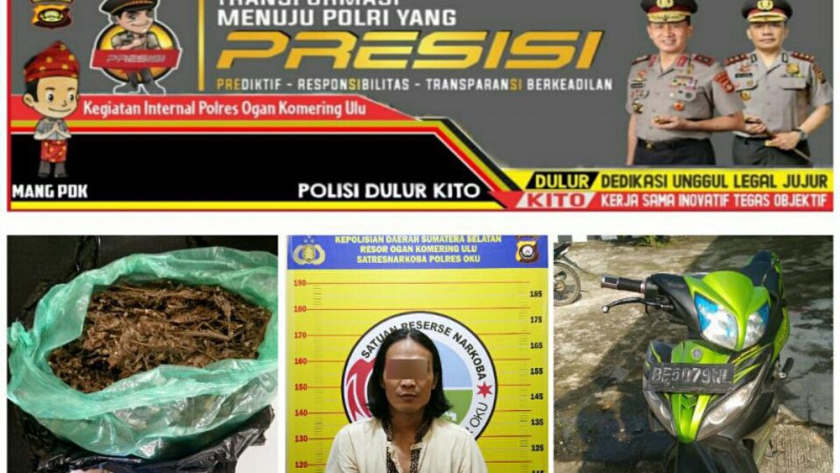 Polres OKU Membekuk Kurir Pembawa ganja 76 gram asal Palembang 