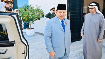 rénal sur la géopolitique, le président Prabowo rencontre le président du MBZ à Abu Dhabi
