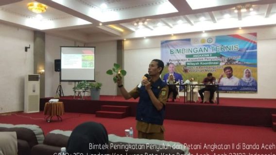 Ingin Menanam tapi Keterbatasan Lahan? Kemantan RI Dorong Sistem Hidroponik