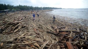 Istana Respons Dugaan Penebangan Hutan Picu Banjir di Guci Tegal
