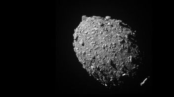 DART機が小惑星ディモルフォスに墜落した後、ハッブル望遠鏡に捕獲された岩の群れ