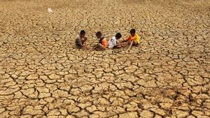 BMKG: 가뭄이 인도네시아 지역을 지배함 2024년 6월~9월