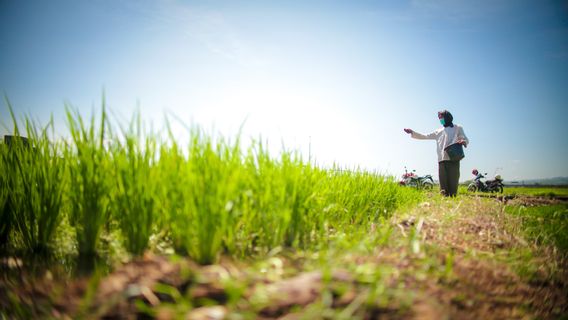 de projet d’irrigation à Banten, Waskita Karya porte un nouveau contrat de 415,44 milliards de roupies