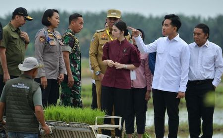 Wapres Gibran Tinjau Penggunaan Mesin Penanam Padi di Persawahan Langkat