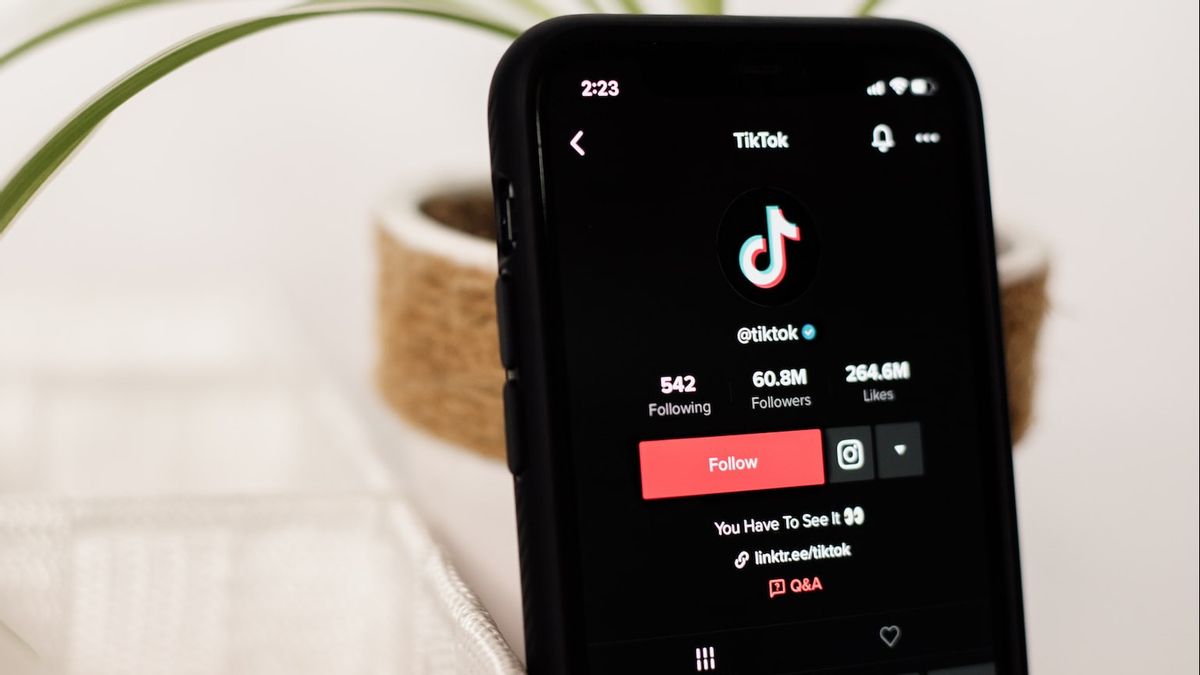 TikTok Clarifies Hoax, Government Needs To Know