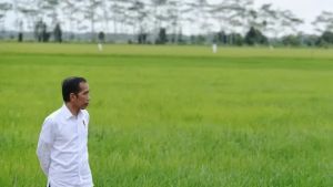 Resmikan Bendungan Margatiga, Jokowi Dorong Naiknya Produksi Pertanian di Lampung Timur