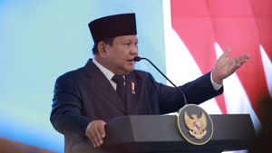 Prabowo Umumkan Penyitaan Besar-besaran Lahan Sawit pada 2026