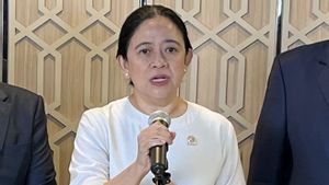 Puan Prihatin Alvaro Ditemukan Meninggal Usia 8 Bulan Hilang: Ini Tanggung Jawab Negara