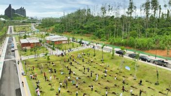 Otorita IKN Ajak Masyarakat Tanam Pohon Wujudkan Kota Hutan
