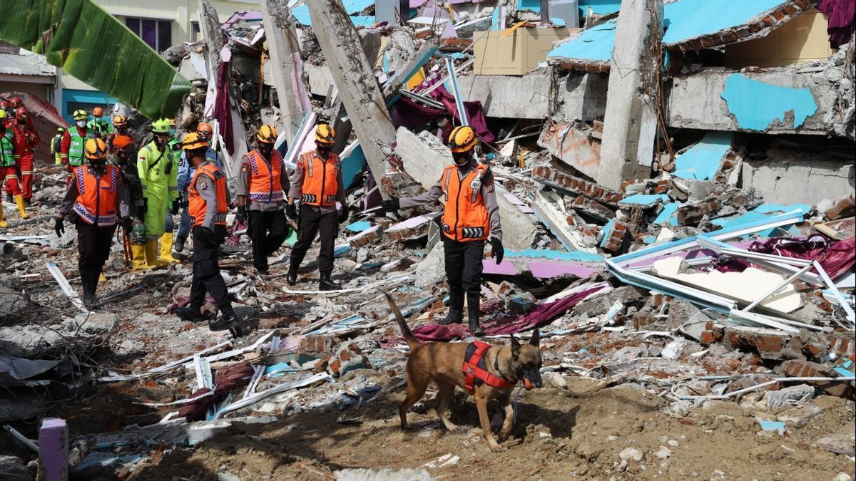 Le BNPB Vise La Reconstruction D’une Maison Pour La Victime Du Tremblement De Terre De Mamuju-Majene Qui Sera Achevée Dans 6 Mois