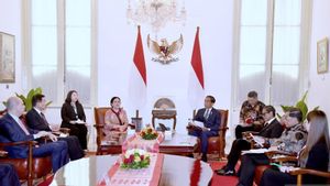 Wamenlu: Jokowi Bahas Upaya Negara MIKTA jadi Jembatan Perdamaian di Gaza Palestina