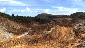 ESDM Reveals The Names Of Companies That Get Mining Permits From The Government In Raja Ampat And Other Islands