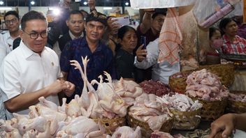 贸易部长布迪确保巴厘岛基本商品价格得到控制