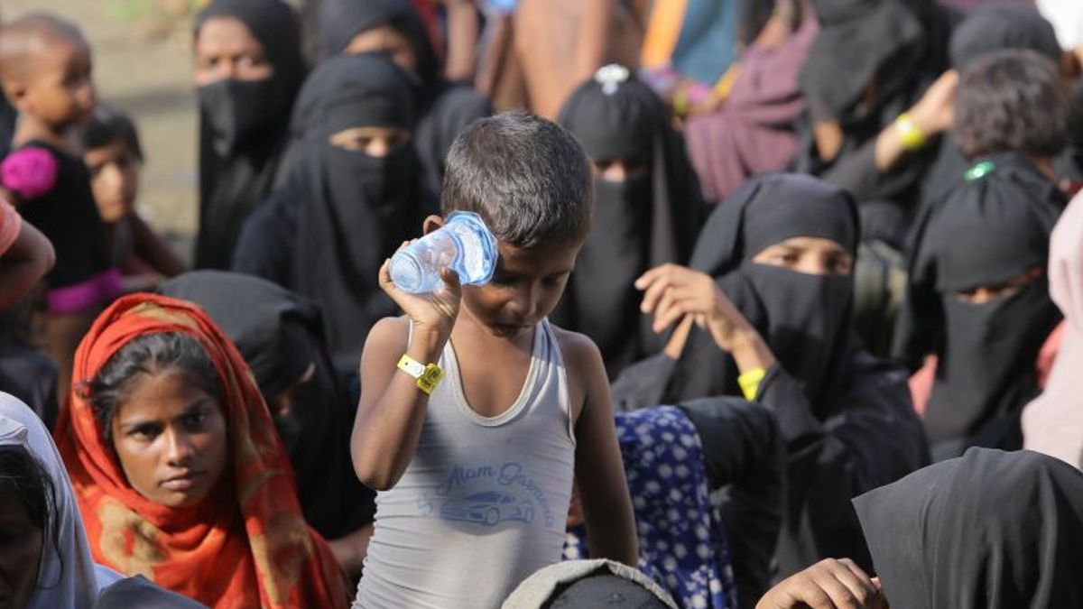 Ditolak Sana-sini, 137 Pengungsi Rohingya Kembali Dibawa ke Kantor Gubernur Aceh
