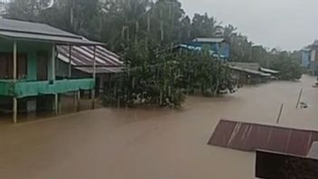 Direndam Banjir 5-6 Meter Selama Sepekan, Warga Desa Asam Jelai Kalbar Terancam Krisis Sembako