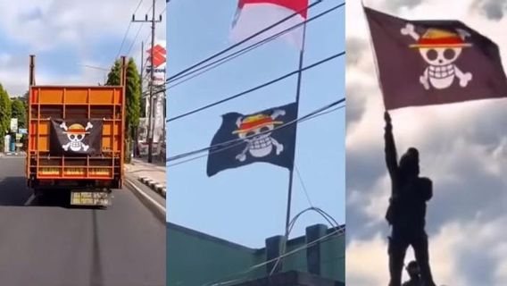 国有权禁止一块旗帜
